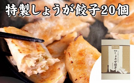 [ギョーザ専門店イチロー] 神戸味噌だれ餃子2種（計40個）食べ比べセット