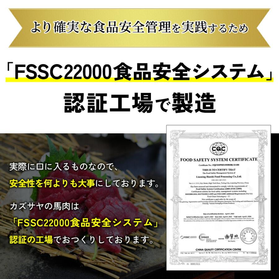 馬刺し 赤身 ヒレ 800g 10袋付き  送料無料