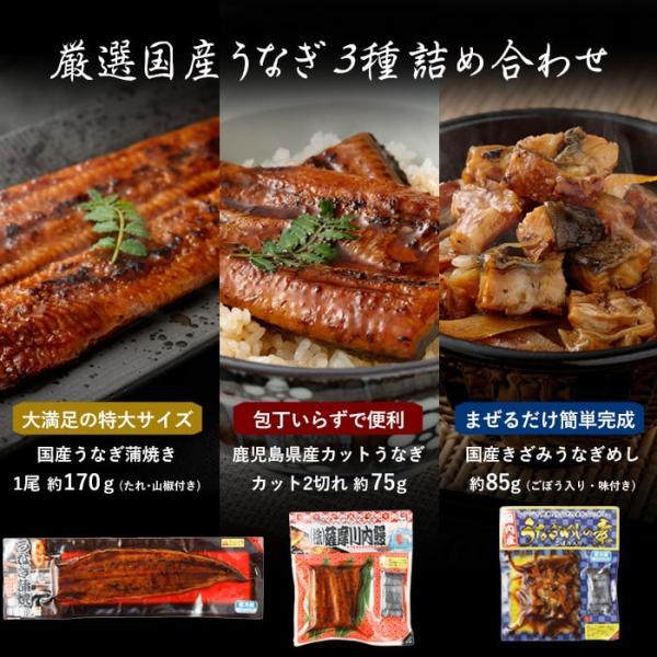 国産 うなぎ蒲焼き 3種 詰め合わせ 蒲焼き ハーフサイズ きざみうなぎ 蒲焼きセット 特大サイズ 鹿児島県産 鰻 うなぎ ひつまぶし 鰻めし うな重 うな丼