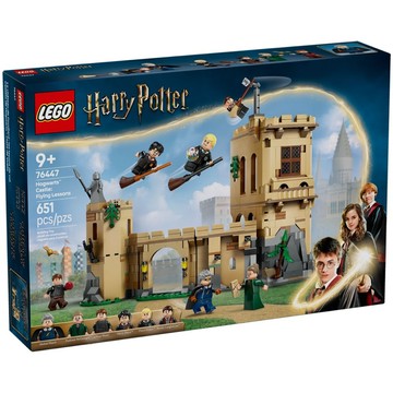 💗芸芸積木💗現貨!! LEGO 76447 飛行課 Harry Potter哈利波特系列