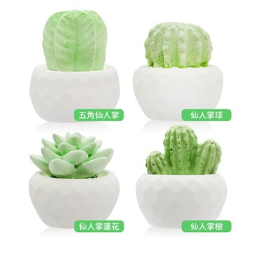 O Pretty 歐沛媞 室內/車用 仙人掌香氛擴香石擺飾-多款可選[仙人掌樹/仙人掌球/仙人掌蓮花/五角仙人掌]