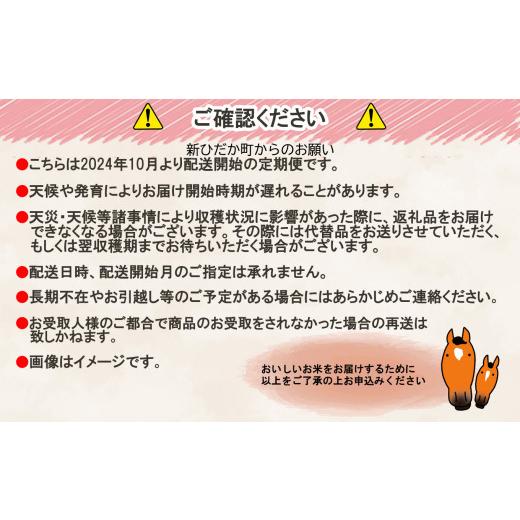 ふるさと納税 北海道 新ひだか町 ＜ 予約 定期便 全12回 ＞ 北海道産 希少米 おぼろづき 玄米 計 10kg (5kg×2) ＜2024年10月より配送＞ お米 米 こめ 北海道…