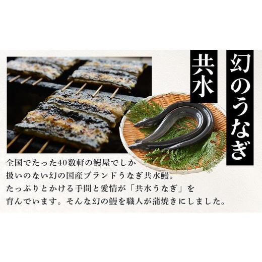 ふるさと納税 栃木県 栃木市 幻の国産ブランド鰻　共水うなぎのかば焼き　5串（約115g×5）タレ・山椒付き　極上の甘みとうまみ、ふっくらとした食感