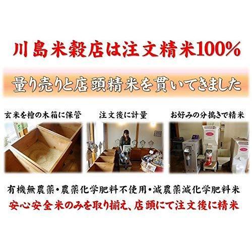 令和３年産　無洗米　いちほまれ10kg（5kg×2袋） 福井県産　特別栽培