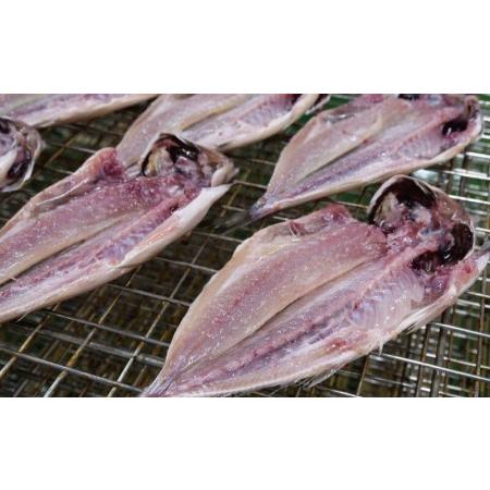 ふるさと納税 干物 魚 あじ ひもの 鯵ごのみ 15枚 中サイズ セット 沼津 送料無料【干物 ひもの 魚 干物 ひもの あじ 干物 ひもの 鯵ごのみ 干物.. 静岡県沼津市