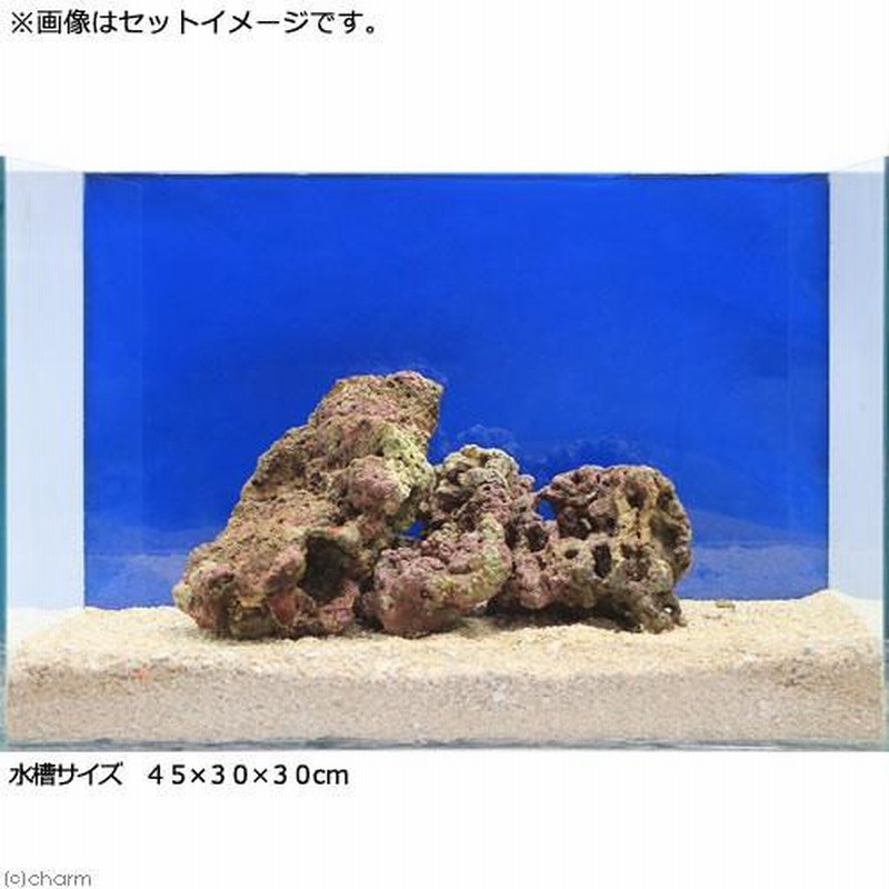 海水魚 ｓグレードライブロック ３０ｃｍキューブ水槽セット １セット 形状お任せ 通販 Lineポイント最大0 5 Get Lineショッピング