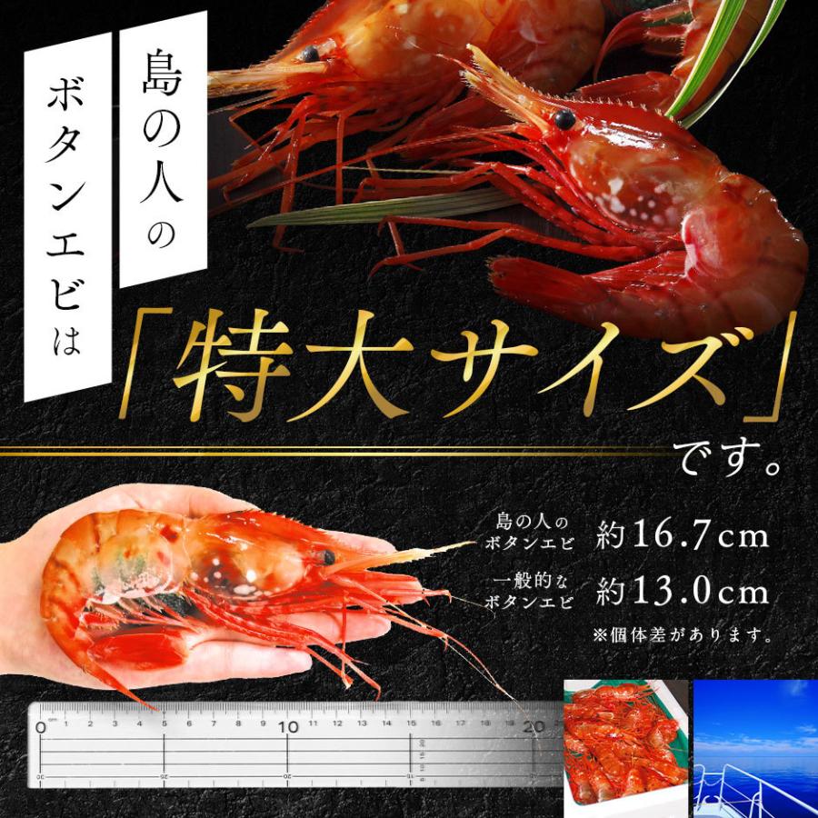 ロシア産 ボタンエビ 500g 8-10尾前後 メス 島の人 エビ 海鮮 海老 お取り寄せグルメ ぼたんえび