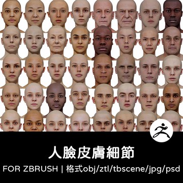 zbrush筆刷 | 男人女人臉部皮膚貼圖紋理鏡面反射光澤法線ztl模型obj素材