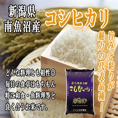 ふるさと納税 南魚沼市 南魚沼産コシヒカリ5kg全12回