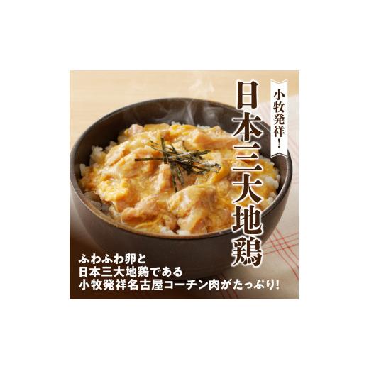 ふるさと納税 愛知県 小牧市 名古屋コーチン親子丼