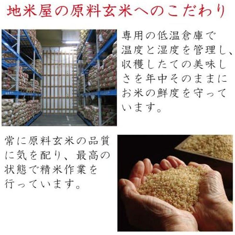 新米 兵庫県但馬産コシヒカリ 新米 令和4年産 白米 10kg 5kg×2袋