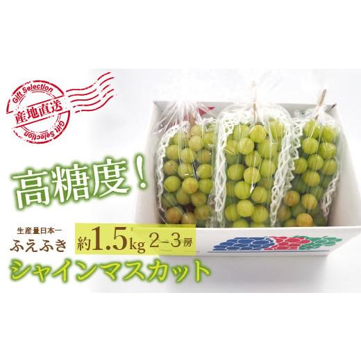 ふるさと納税 山梨県 笛吹市 ＜2024年先行予約＞厳選！山梨県笛吹市産 シャインマスカット 約1.5kg(2〜3房) 156-006