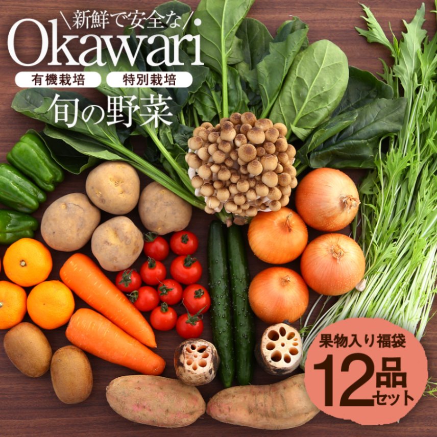 OKAWARI旬の野菜 12品お試しセット（有機野菜と特別野菜と果物）