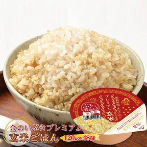 ふるさと納税 金のいぶきプレミアム玄米ごはん 120g×48個 パックごはん パックご飯 防災 米 大阪府松原市