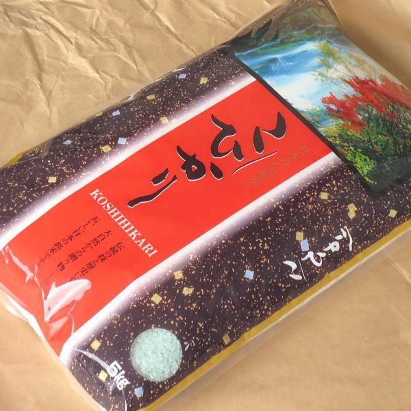 お米 5kg コシヒカリ 玄米 山形県 庄内 5kg×1袋 5年度産 新米