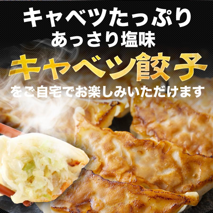 餃子 取り寄せ 業務用 冷凍 生餃子 国産素材 時短 お手軽 簡単 大容量 餃子計画 キャベツ餃子 50個入り