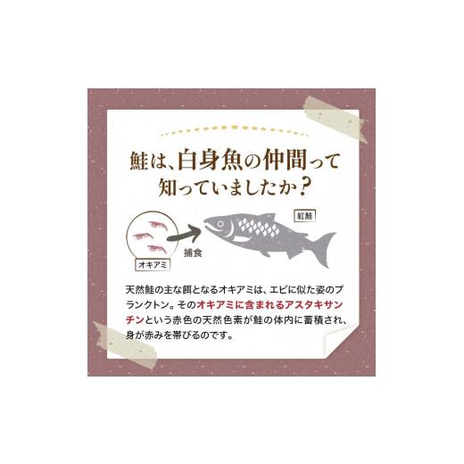 ふるさと納税 北海道 釧路市 選べる配送月 特選 甘塩天然紅鮭 3切真空 ×6パック 鮭 2024年1月発送 F4F-1995