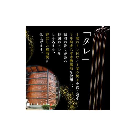 ふるさと納税 鹿児島県 志布志市 特大! 国産 八本木樽鰻の蒲焼(186g以上×5尾) きざみ鰻50g付き! c0-104-kizami