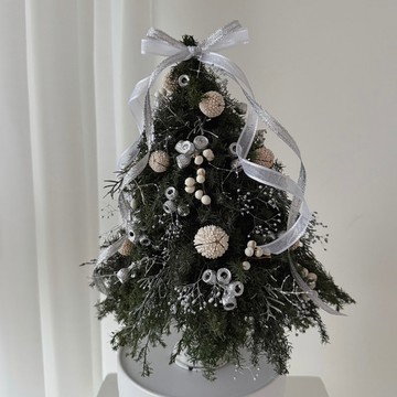 SEE 看見花藝設計|聖誕節|永生雪松 |聖誕樹|月光之樹雪松聖誕樹