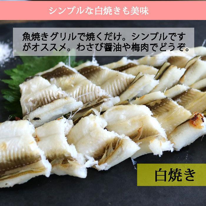 あなご開き 約100gX5尾 長崎産 生 白焼き 煮穴子 レシピ付き