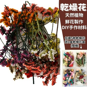 【A-ONE】乾燥花材 永生水晶草 3色混搭 DIY乾燥花盒 花材 花藝材料包 手作花材 乾燥花 不凋花 乾花 A18【領券滿額再折千12/31止】