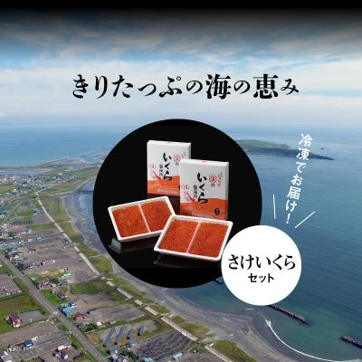 ふるさと納税 浜中町 さけいくらセット