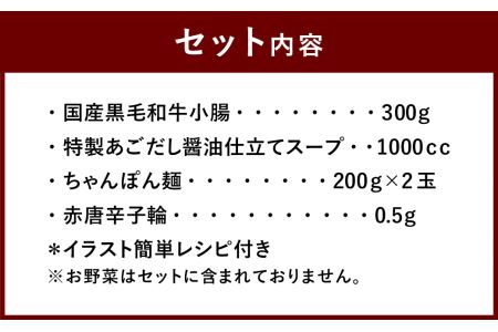  国産 黒毛和牛 もつ鍋セット あごだし醤油 (2～3人前)