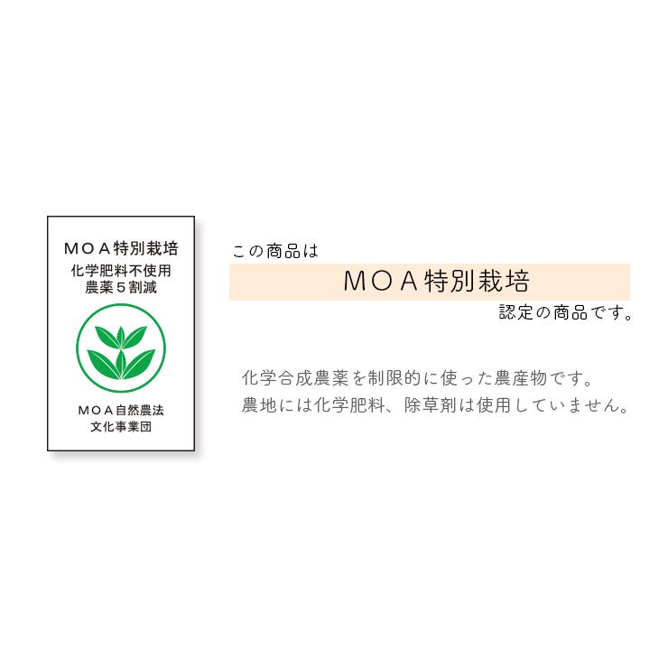 長野県産　特別栽培ふじりんご３ｋｇふじリンゴ・無化学肥料・農薬５割減・特別栽培・ネオニコフリー