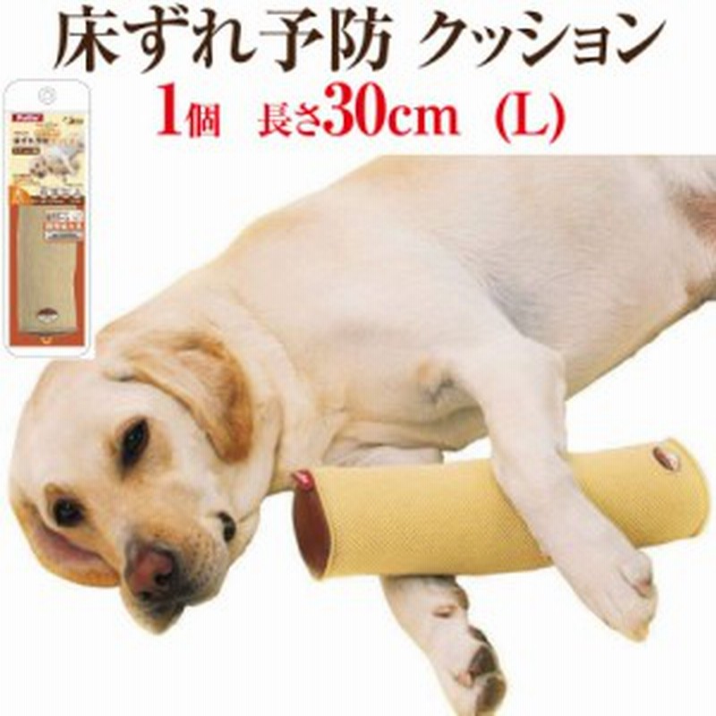 犬の床ずれ防止 クッション スティック L 大 犬介護 老犬介護用 床ずれ 予防クッション 通販 Lineポイント最大1 0 Get Lineショッピング