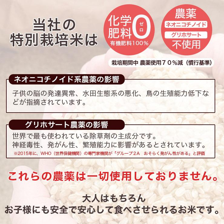 送料無料  令和5年産 新米 北海道米 安心 安全 特別栽培米 お米 当麻  とっときスーパー （特別栽培 あやひめ 100％）10kg 米 ギフト 祝い 贈り物