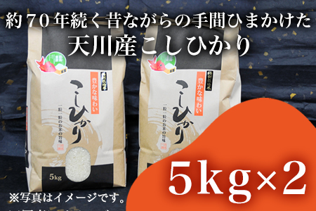 特別栽培米  唐津市天川産 こしひかり 5kg×2 (合計10kg) 減肥減農薬で育てた特別栽培米をお届け たんぱく質が少なく食味が良いお米