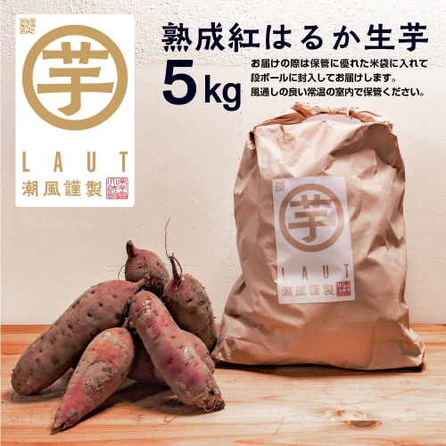 干し芋屋のさつまいも 熟成 紅はるか 生芋 5kg 無添加 無着色 茨城県産