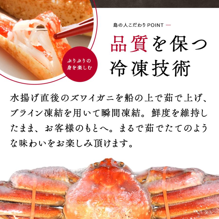 本ズワイガニ 姿 900g前後  1尾 冷凍 送料無料 かに カニ 蟹 ずわい ズワイ蟹 プレゼント グルメ ギフト カナダ 誕生日プレゼント