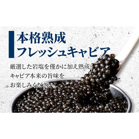 ふるさと納税 宮崎県産キャビア 詰め合わせ 合計150g 魚卵 キャビア 宮崎県宮崎市