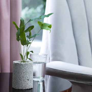 福利品特賣會 Edible Flower可食用植物水耕栽培盆器 矮牽牛 水耕 室內栽培 矮牽牛 食用花 料理 西餐 舊 蝦皮商城 Line購物