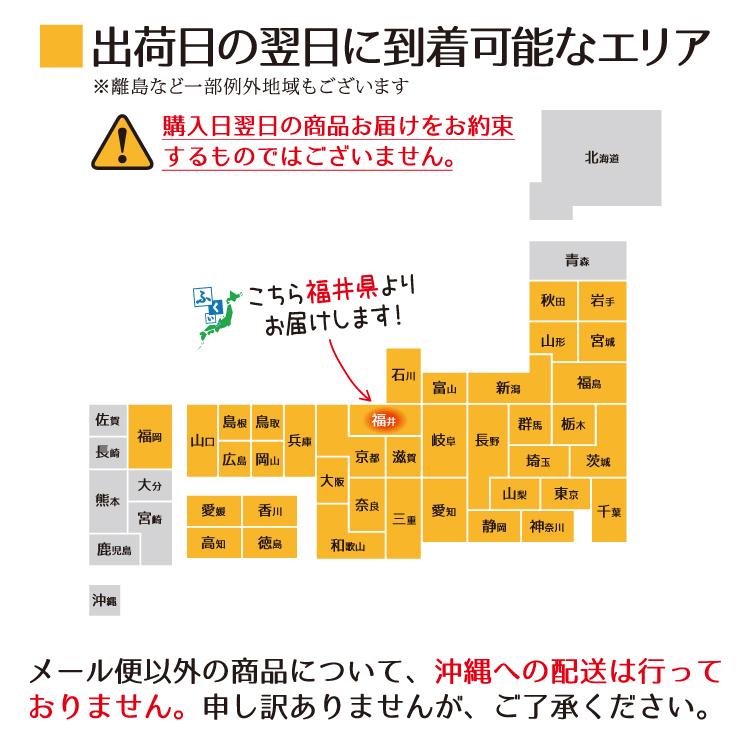 お歳暮 サーモンお刺身 小分け包装100g×3パック ノルウェー産 アトランティックサーモン お刺身用 生食用 小分け さけ 鮭 刺身 寿司 海鮮