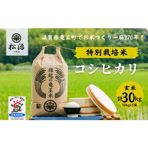 ふるさと納税 滋賀県 竜王町 コシヒカリ  玄米 10kg x 3袋 縁起の竜王米 特別栽培米 令和5年産  新米 ブランド米 玄米 30kg  おこめ ご飯 270年続く お米 農…