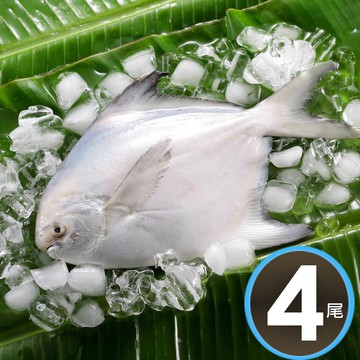 【華得水產】鮮嫩野生白鯧魚4尾組(300-380G/尾)(年節推薦)