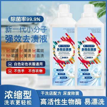 🔸臺灣公司貨🔸【新款】新一代小分子強效去漬液汗漬活氧去汙去黃清潔生物酶家用 多效去漬液 生物酶活氧去漬劑 衣物去汙劑