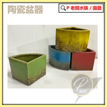 P老闆園藝~陶瓷盆 花盆 盆栽 植栽 多肉植物 室內培栽 陶瓷花器 質感花器 花器
