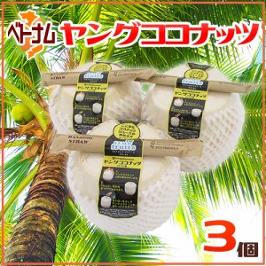 ベトナム産 ”ヤングココナッツ” 3個 ヤシの実 椰子の実 送料無料