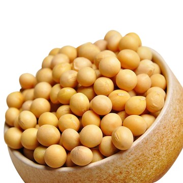 小農夫 高雄選10號-國產非基改黃豆3包組(500g/包)