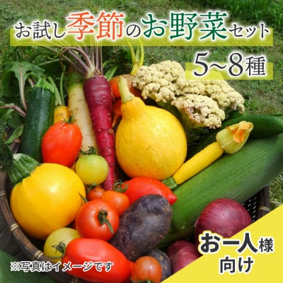 お一人様向け、お試し季節のお野菜セット (5〜8種)