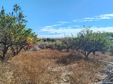 東勢都內農地送農舍｜台中市東勢區民誠段