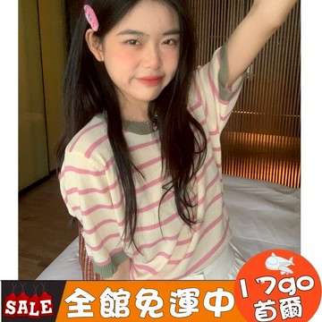 🔥現貨出清🔥 H53 休閒條紋針織T恤女 溫柔風 打底衫 短袖內搭上衣 短袖針織打底衣 條紋上衣 短針織T恤 短T