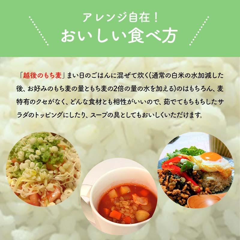 新潟県産はねうまもち(もち麦)　500g