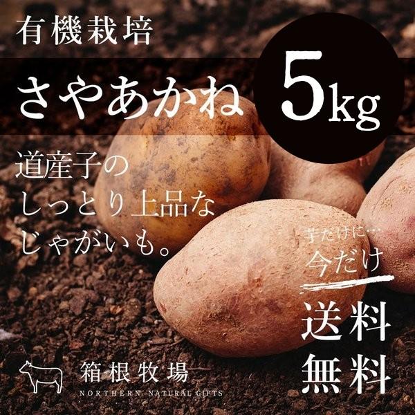 じゃがいも 有機栽培 北海道産 野菜 詰め合わせ さやあかね M〜2L 5kg セット