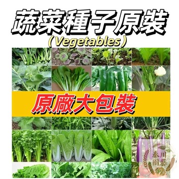 台灣現貨（原廠大包裝蔬菜種子）#空心菜#小蔥#油麥菜#快菜#白菜#香菜種子#朝天椒#貝貝南瓜#農家番茄種子