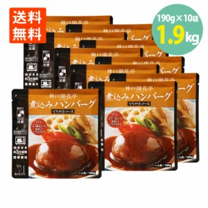 煮込みハンバーグ テリヤキソース 190g×10袋 開花亭 送料無料 ハンバーグ レトルト テリヤキ ハンバーグ レンジ