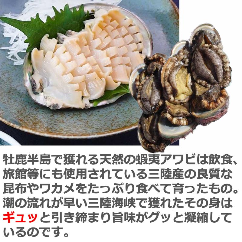 活アワビ 三陸産 天然蝦夷アワビ １Kg 箱 無選別 産地直送 送料無料